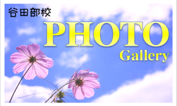 PhotoGalleryへ行く
