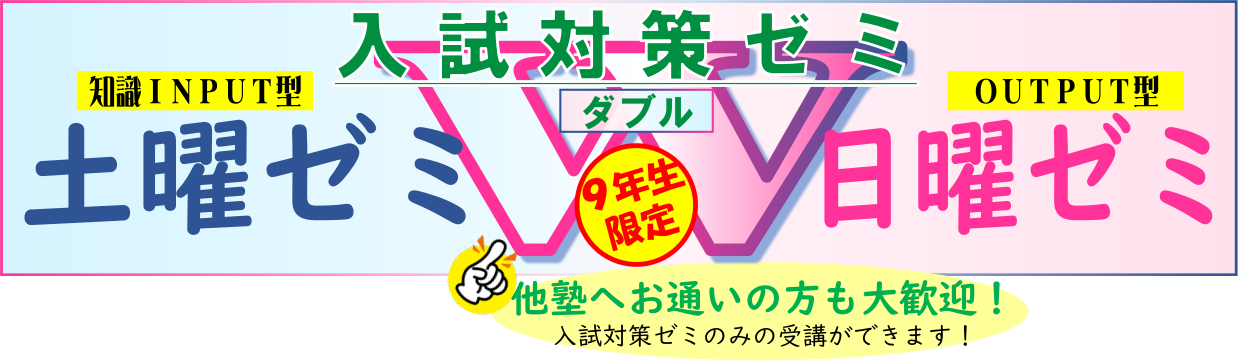 入試対策ゼミ（土ゼミ・日ゼミ）